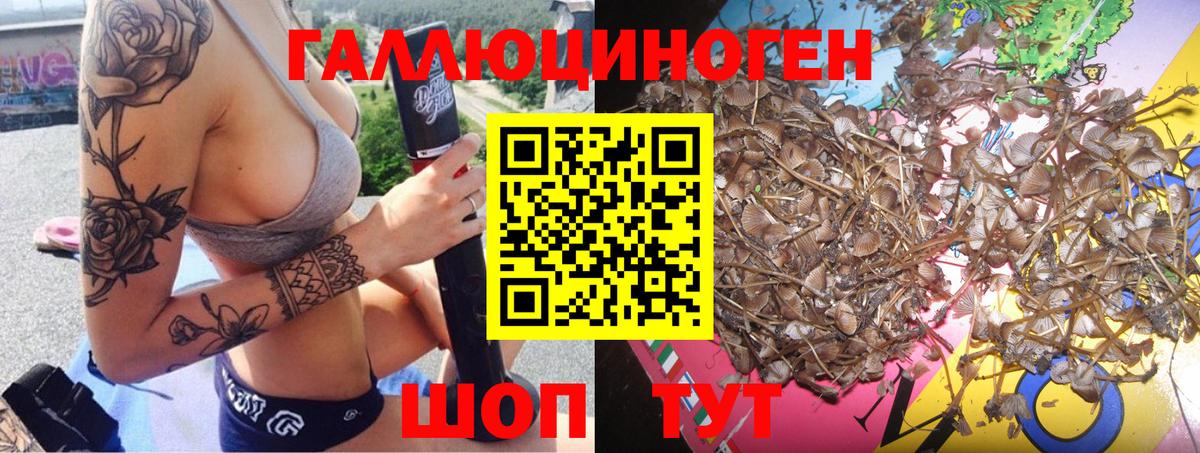Галлюциногенные грибы GOLDEN TEACHER Ижевск