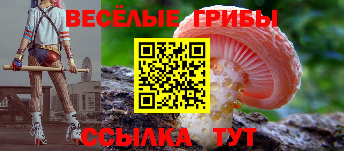 Ижевск  Псилоцибиновые грибы прущие грибы  Вход с VPN  Галлюциногенные грибы ЛСД 